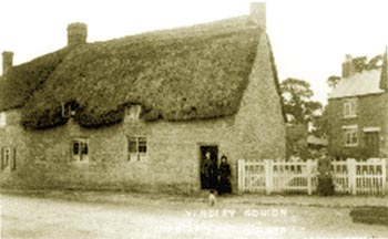 Row of four thatched cottages